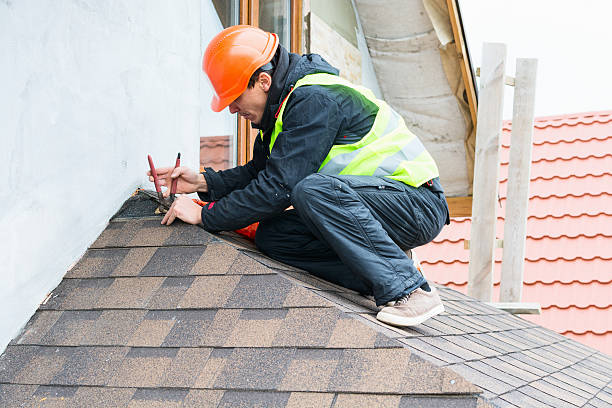 Best Roof Gutter Cleaning  in Laurel Park, NC